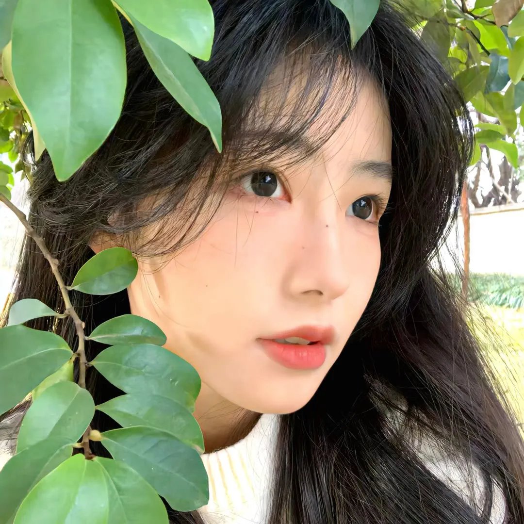 修饰